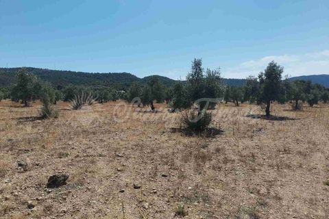Helårsgrund i Biar, Alicante, Biar - € 27.500 | Ref: SF0511 - foto 4